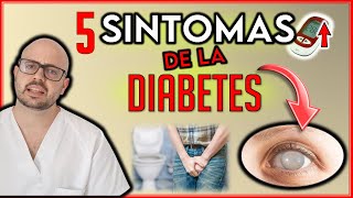 5 SINTOMAS que AVISAN que tienes DIABETES  Indican GLUCOSA alta  Diabetes y salud [upl. by Karyn]