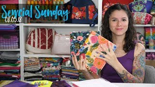 Sewcial Sunday  How to Add a Divider to a Bag [upl. by Liryc]