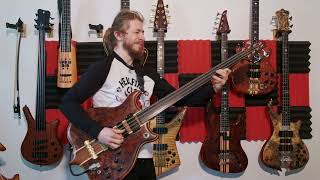 Alembic Fretless 8 String  played like youve never heard before [upl. by Esinel83]