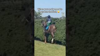 Everyone knows the feeling 🤷‍♂️🤣 horse horseracing [upl. by Yhtomit]