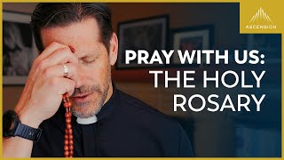 Pray with Us The Sorrowful Mysteries of the Rosary with Fr Mike Schmitz Tuesdays amp Fridays [upl. by Kier]