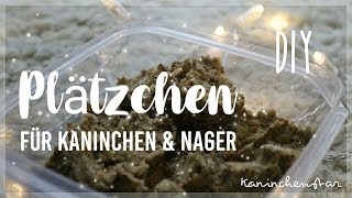 PLÄTZCHEN für Kaninchen amp Nager selber machen DIY tierzember2018 Türchen 22  Kaninchenstar [upl. by Rialc]