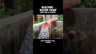 Electric water pump [upl. by Nivlac]