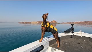 Flying Foam Passage  Dampier Fishing  Dobermans Onboard [upl. by Ahsekam]