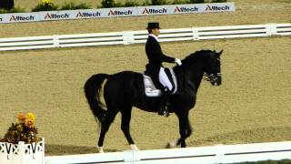 Moorlands Totilas Freestyle Dressage World Equestrian Games 2010 [upl. by Cira]