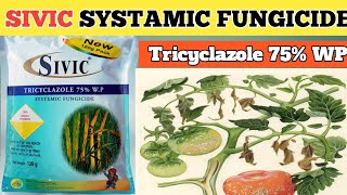 SIVIC SYSTAMIC FUNGICIDE  sivic fungicide  Tricyclazole 75 WP [upl. by Irabaj]