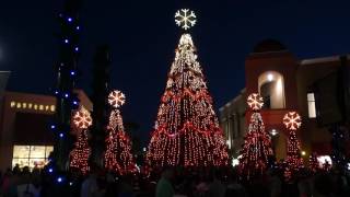 Wiregrass Christmas Tree Show  Jingle Bell Rock  2016 [upl. by Ssyla251]