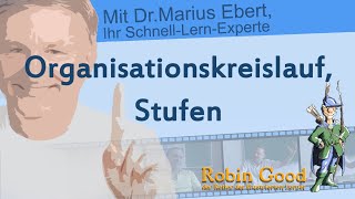 Organisationskreislauf Stufen [upl. by Yrekaz]