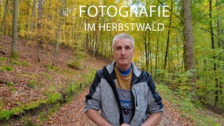 Fotografie im Herbstwald mit dem Canon Rf 24105 mm f4 [upl. by Hiroshi]