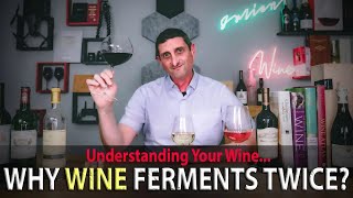 Why Does White Wine Taste like Butter How Malolactic Fermentation Changes Wine [upl. by Immas655]