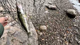 Best Walleye Pickerel Fishing Spots 2023 Yearend Review [upl. by Eslehc]