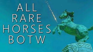 All Rare Horses amp Where to Find Them BOTW [upl. by Ettenim]