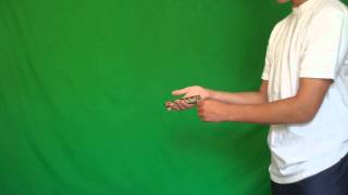 Balisong Tutorial Reverse Grip Aerial Beginner [upl. by Eustashe]