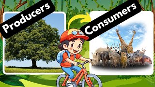 Producers and Consumers Herbivores Carnivores and Omnivores [upl. by Idola]