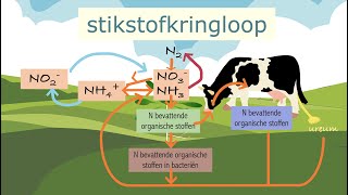 De stikstofkringloop [upl. by Esinehc782]