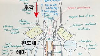 소통 우리의 후각에 대한 소통 건축과 후각 建筑与嗅觉 about Olfactory sence [upl. by Fondea]