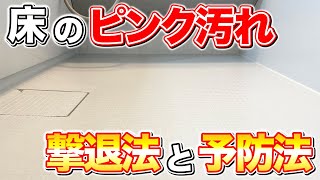 【もう悩まない】お風呂の床のピンク汚れをスッキリ落とす方法とおすすめ予防法！ [upl. by Ardekal79]