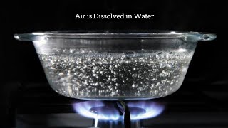 How will you show that Air is dissolved in WaterSolubility of Air in Water [upl. by Ynnattirb162]