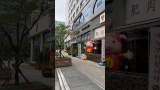 Balsan Area Seoul [upl. by Coryden582]