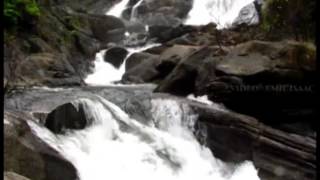 Aralam wildlife sanctuary amp Meenmutty Waterfalls [upl. by Demb236]