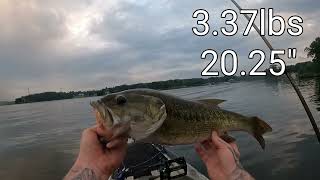 Big Spotted Alabama Bass puts me in position to win Lake Norman [upl. by Aneetak]