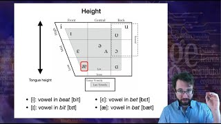 Introduction to Linguistics Phonetics 2 [upl. by Ayekim]