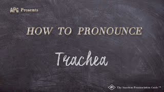 How to Pronounce Trachea Real Life Examples [upl. by Gus]