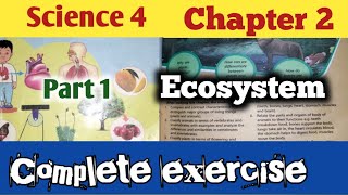 Class 4 Science Chapter 2EcosystemScience Class 4 Chapter 2 ExerciseClass 4 Science [upl. by Onitnerolf]