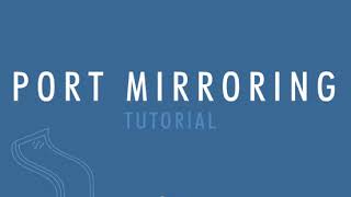 Port Mirroring Tutorial [upl. by Engis873]