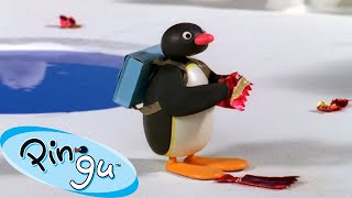 Pingu and the Litter 🐧  Pingu  Official Channel  Cartoons For Kids [upl. by Tiffanie]