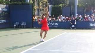 Sania Mirza Hot Indian Tennis Player [upl. by Ahslek]