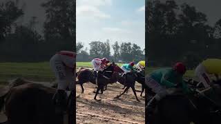 Galway Races Makem amp Clancy cover 🏇 JBrennanMusic shorts reels fyp music [upl. by Ugo]