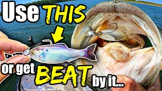 The 1 Technique in Bass Fishing that the Pros DONT want You to Know [upl. by Ibbie58]