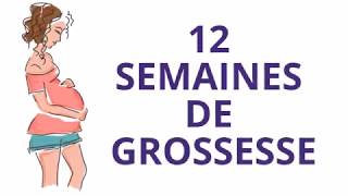 12 SEMAINES DE GROSSESSE OU Douzième semaine de grossesse [upl. by Cornish]