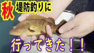 秋！堤防釣りにいってみた！！ 釣り 堤防釣り カローラクロス [upl. by Tnecnev]