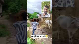 एक्सपेरिमेंट दिवाली comedy viralvideo trending youtubeshorts shorts [upl. by Annaert]