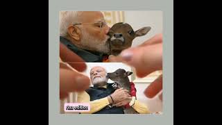 Prime ministar modi viral effect please support me viral trending aicreation riazedition india [upl. by Akehsar]