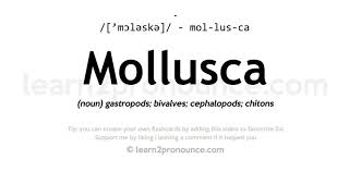 Pronunciation of Mollusca  Definition of Mollusca [upl. by Evannia]