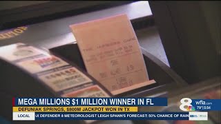 Mega Millions 800 million jackpot won big winner reported in Florida [upl. by Cardew777]