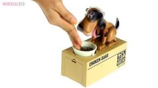 Moredealmy  Novelty Coin Bank Mechanical Dog Saving Box [upl. by Eeresed]