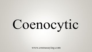 How To Say Coenocytic [upl. by Eisaj311]