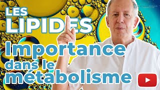 Importance des lipides dans le métabolisme │ Médecine AntiAge [upl. by Coffey]