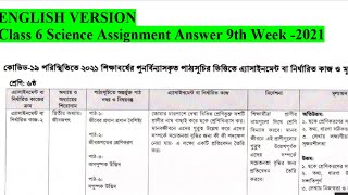 Class 6 Science Assignment Answer 9th Week 2021 English version [upl. by Bernadina]