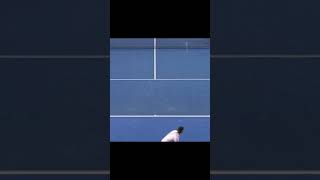 Federer  Djokovic Epic Passing Shot [upl. by Rubin525]