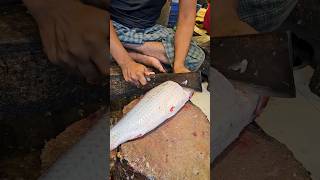 Amazing Rohu Fish Cutting Skills In Bangladesh Fish Market By Expert Cutter shorts [upl. by Llyrad]