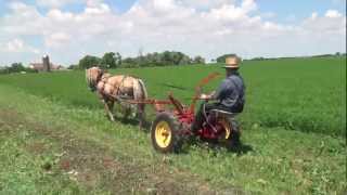 Testing The Iampj Ground Drive Sickle Bar Mower With One Norwegian Fjord Horse [upl. by Segal]