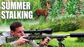 Summer Roebuck Stalking with Paul Childerley [upl. by Yrogiarc546]