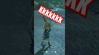 Uma bica na caveira kkkk switchonline nintendoswitch zeldatearsofkingdom [upl. by Otiv150]