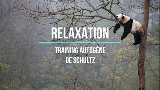 Training Autogène de Schultz [upl. by Wolram645]