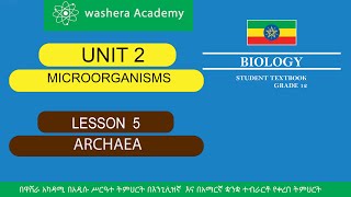 BIOLOGY GRADE 12 UNIT 2 LESSON 5 ARCHAEA [upl. by Anitsirhk283]